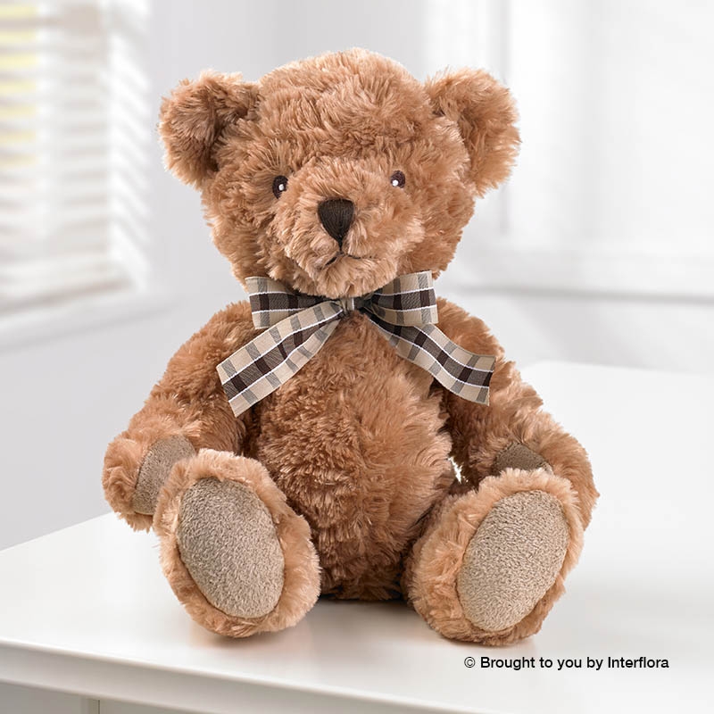 Teddy bear best sale to buy online